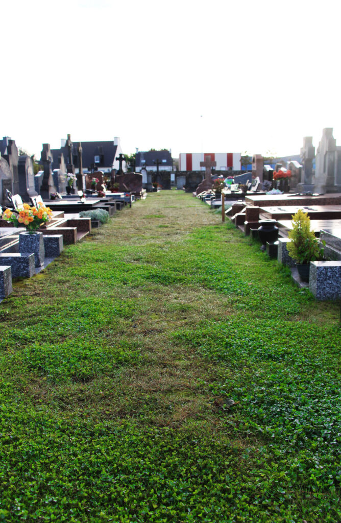 Une allée verte dans un cimetière avec de chaque coté des tombes