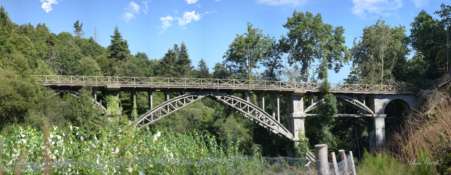 Vue d'un ancien viaduc entouré de végétation reflétant le patrimoine historique