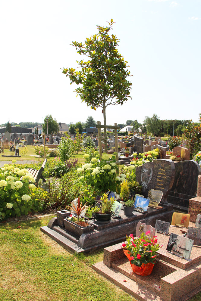 Espace fleuri dans le cimetière