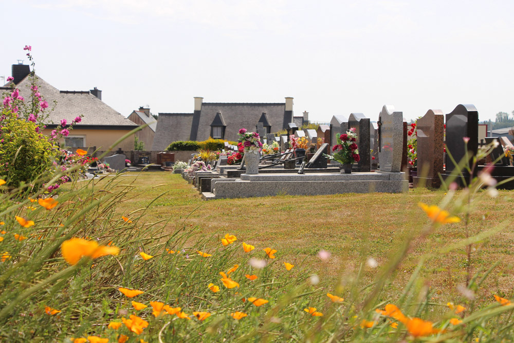 Au premier plan des fleurs sauvage et derrière quelques tombes