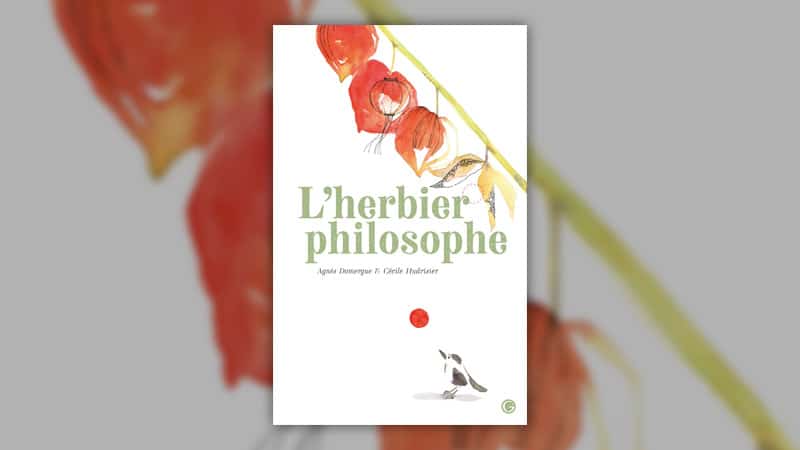 Visuel d'une illustration de fleur rouge avec le titre de l'exposition