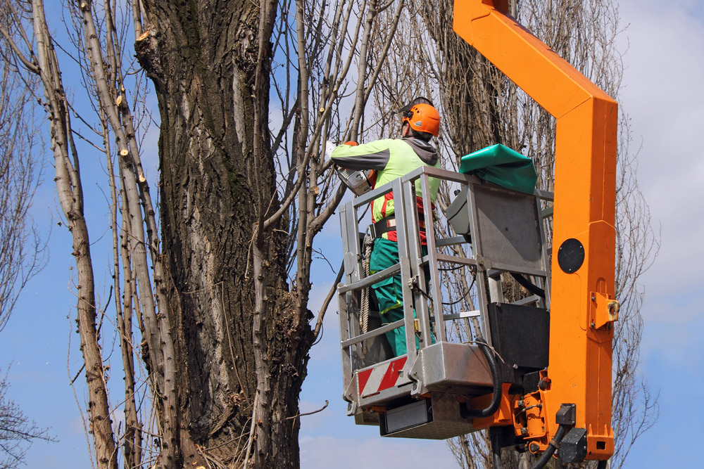Entretien du réseau électrique : des travaux dès le 15 août