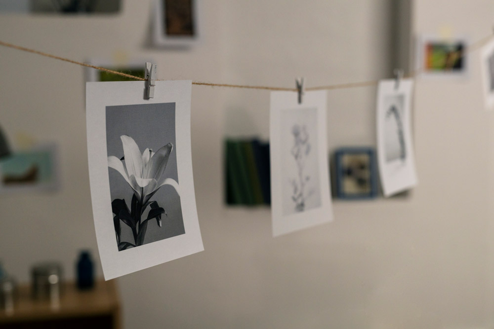 Photographies en noir et blanc accrochées à une ficelle avec des pinces, représentant principalement des fleurs.