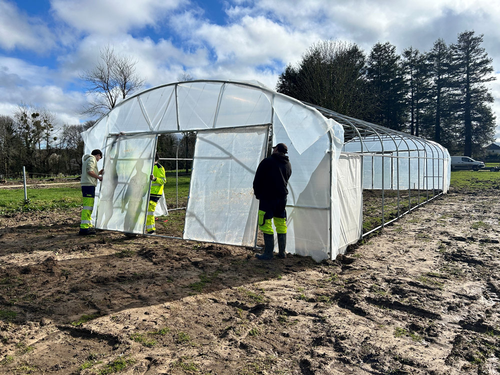 Jardins partagés : Profitez de la nouvelle serre