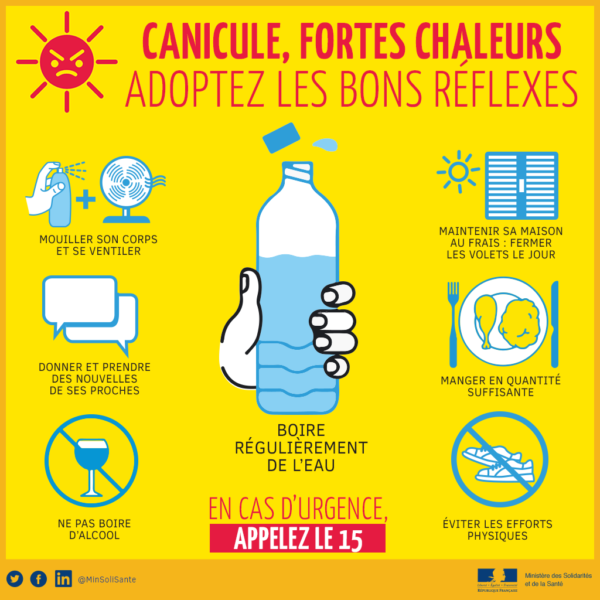 Alerte canicule : les bons réflexes à adopter